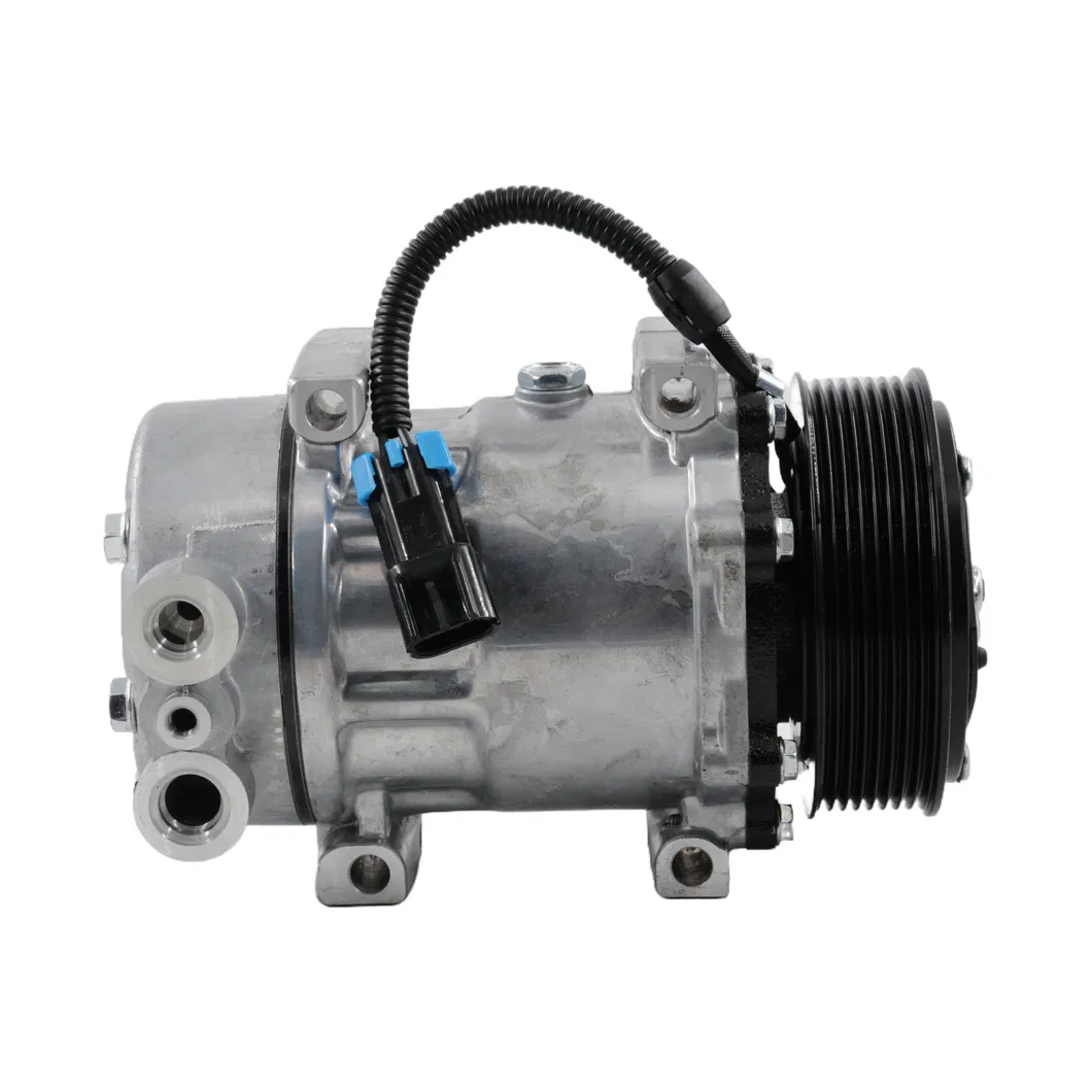 Premium Quality F696001111 Auto AC Compressor Air Conditioning Compressor for Reliable Performance