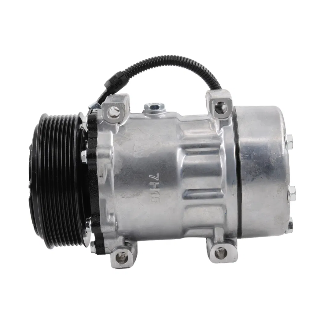 Premium Quality F696001111 Auto AC Compressor Air Conditioning Compressor for Reliable Performance