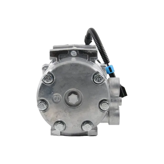 Premium Quality F696001111 Auto AC Compressor Air Conditioning Compressor for Reliable Performance