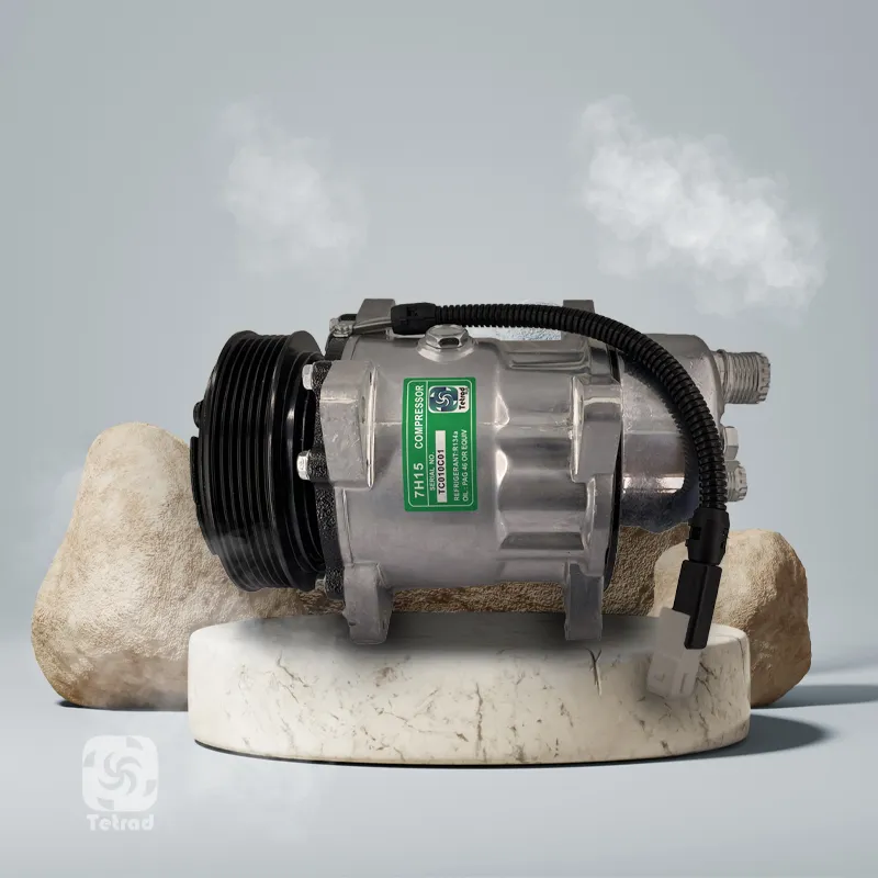 High-Efficiency 481531196 Auto AC Compressor for Enhanced Cooling Performance