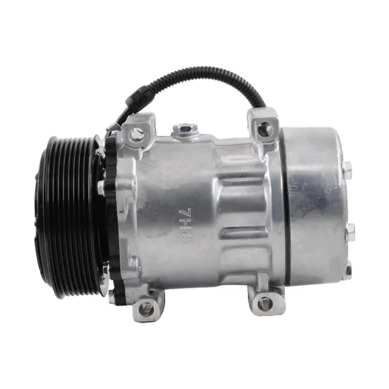 Premium Quality F696001111 Auto AC Compressor Air Conditioning Compressor for Reliable Performance